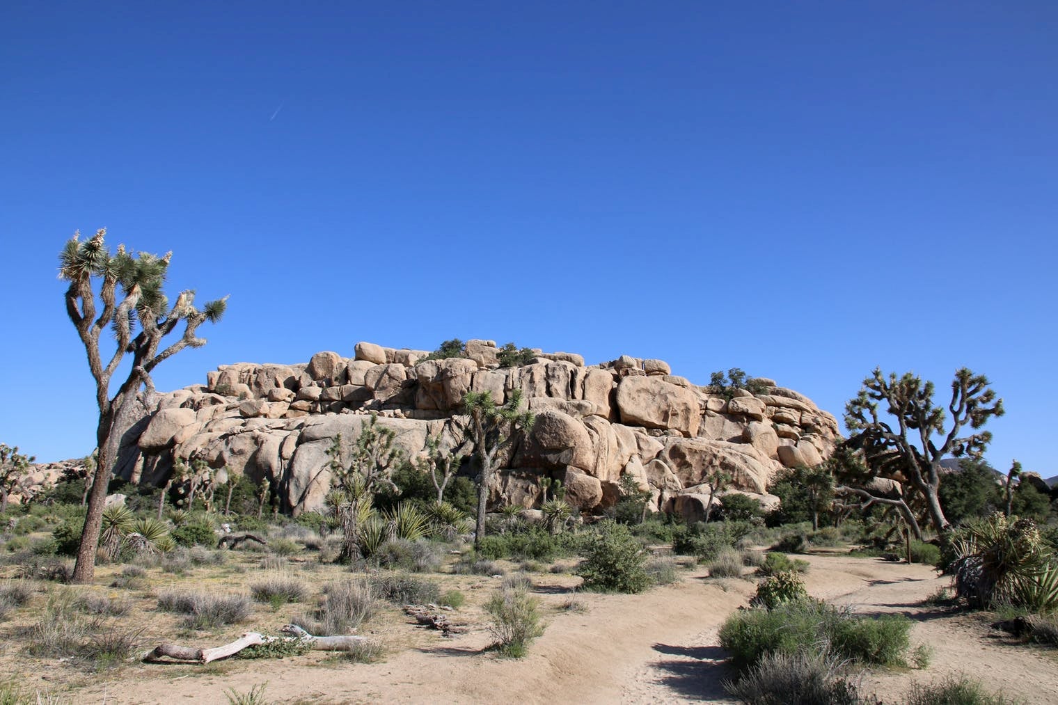Desert landscape with brush in the foreground and boulders in the background.