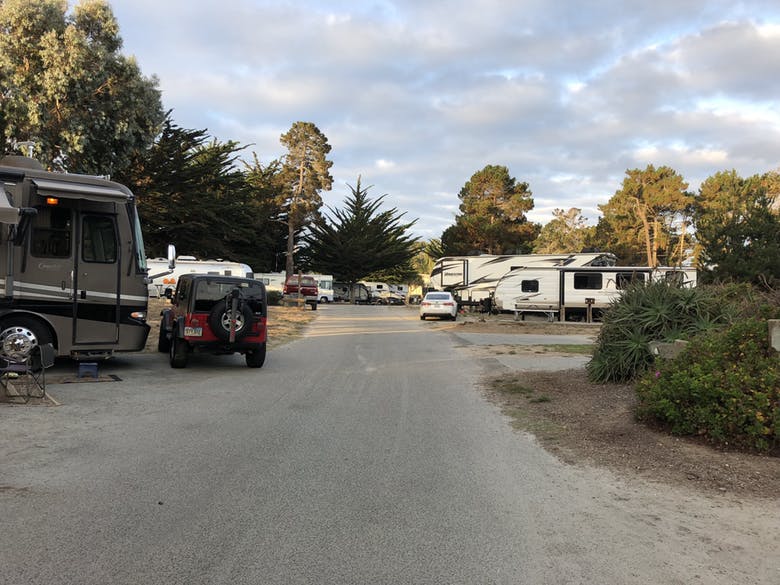 several RVs parked at campground