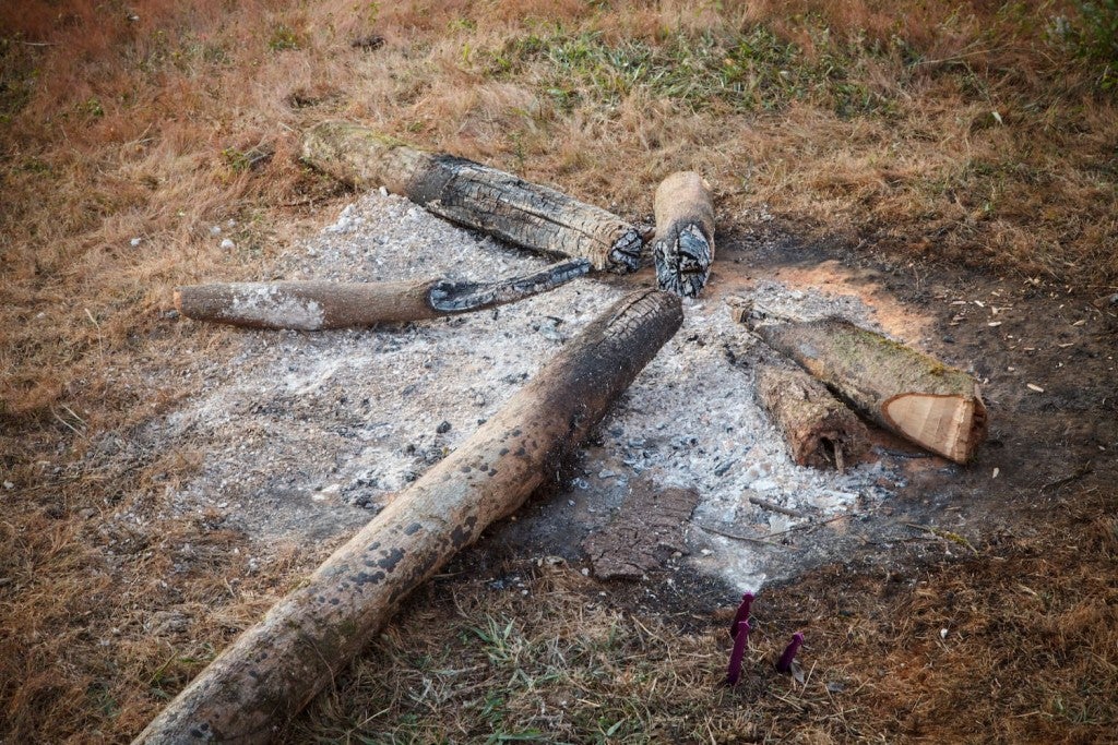 10 Campfire Safety Tips for a Stress Free Camping Trip