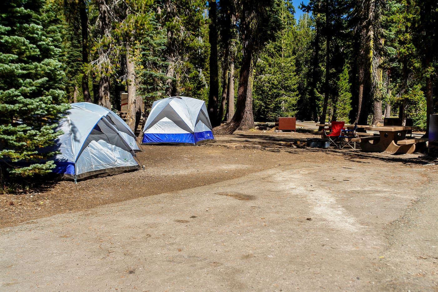 A campsite with tents and a picnic table set up in the forest.