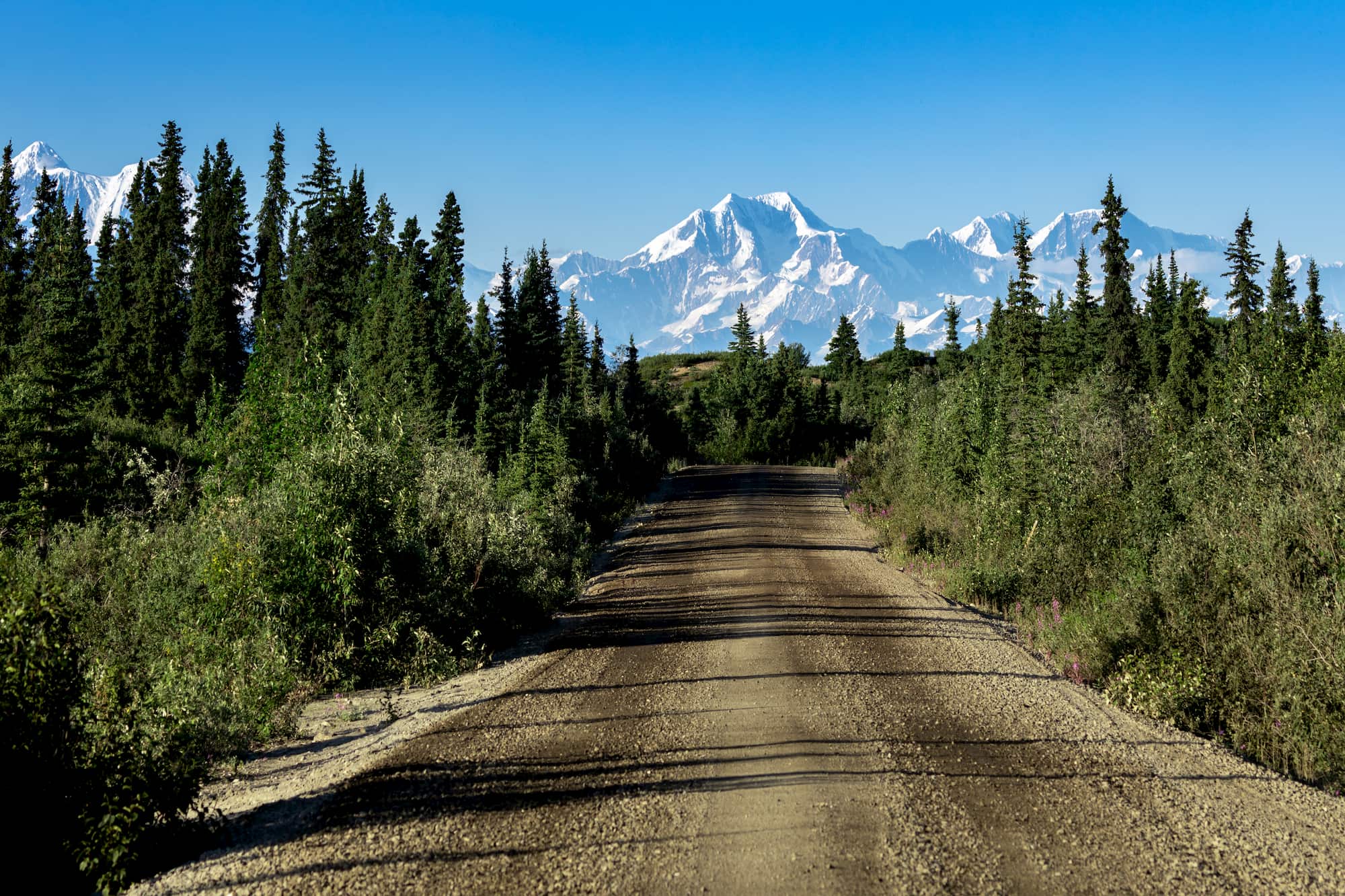 dirt road with denali in the background