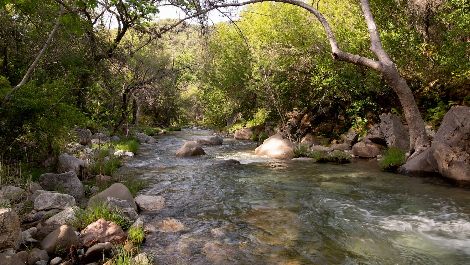 Rio Santa Ynez na Floresta Nacional Los Padres