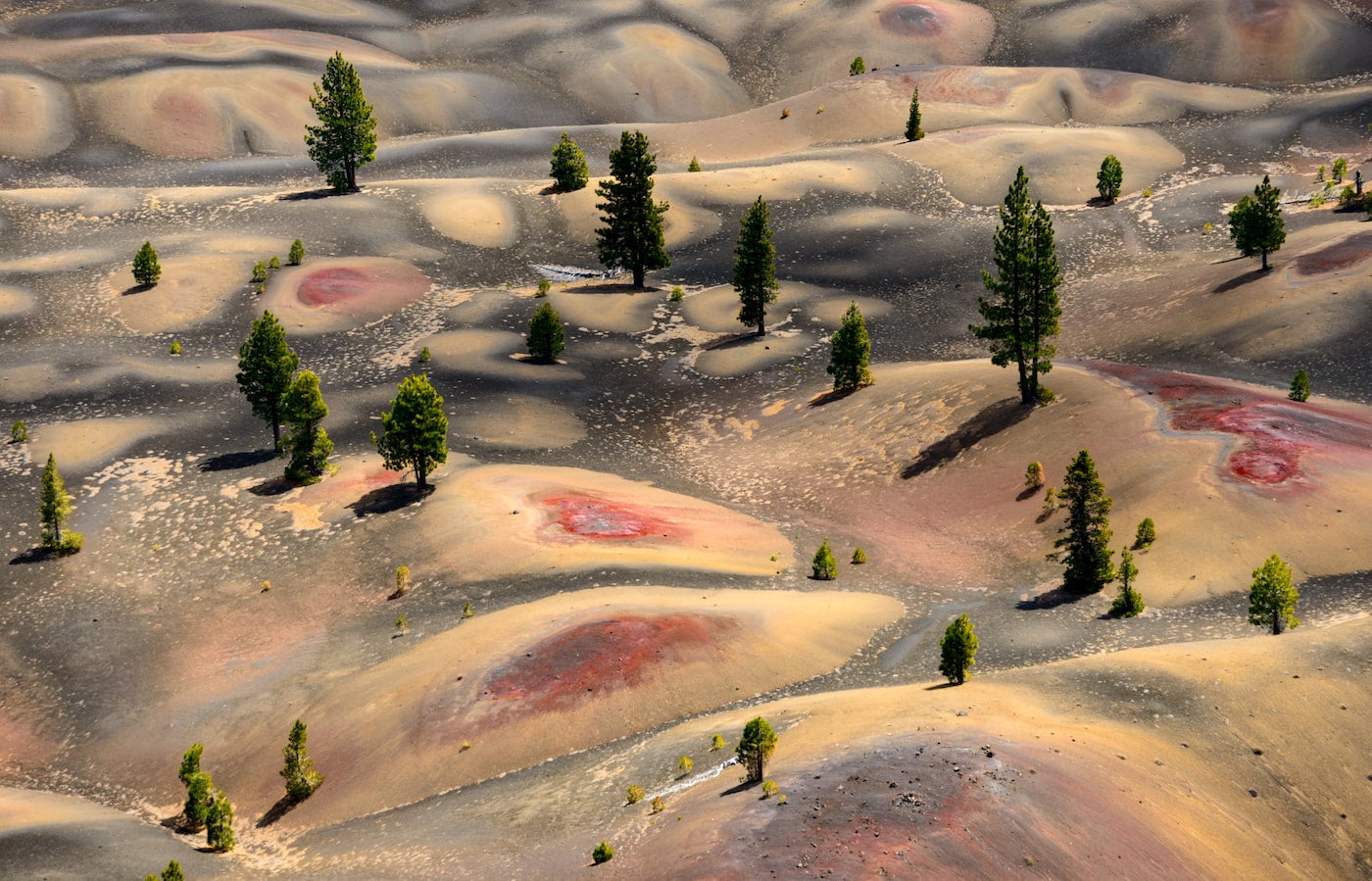 Aerial image of bumpy hills with red patches and sparse pine trees.