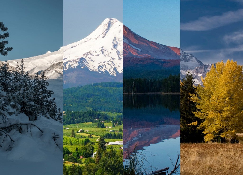 Four separate images of Mt. Hood collaged together.