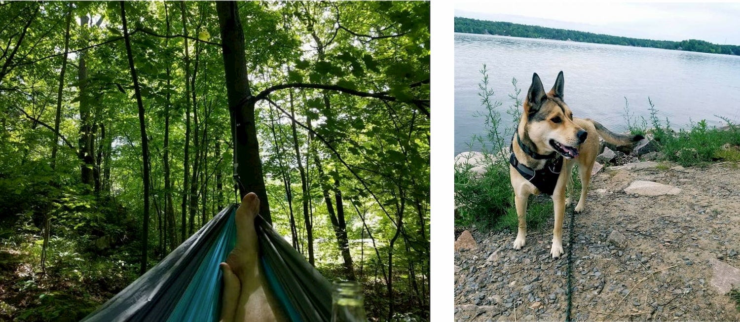 side-by-side photos of a man in a hammock and a dog by the water