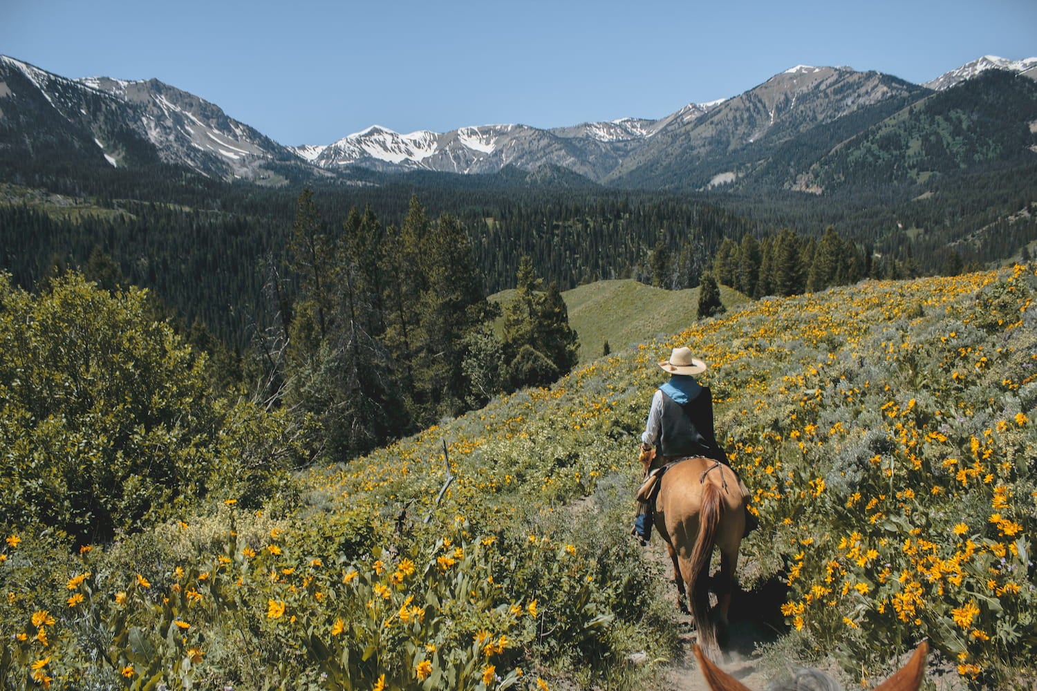 horseback rider at grand teton national park