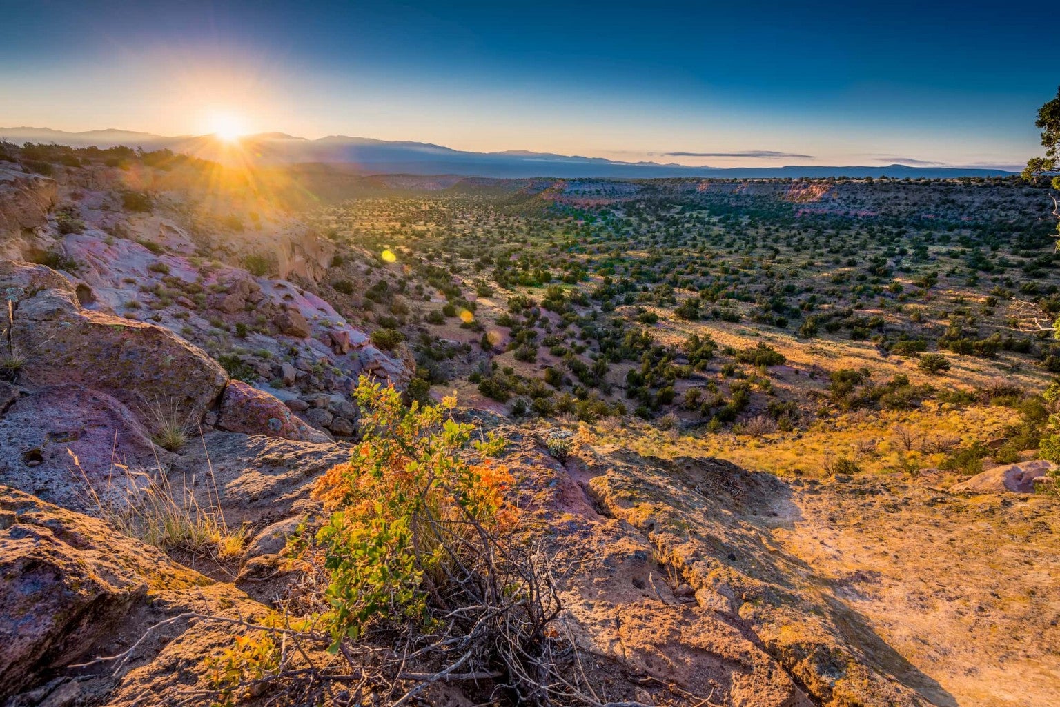 Discover Hiking and History at New Mexico’s Bandelier National Monument
