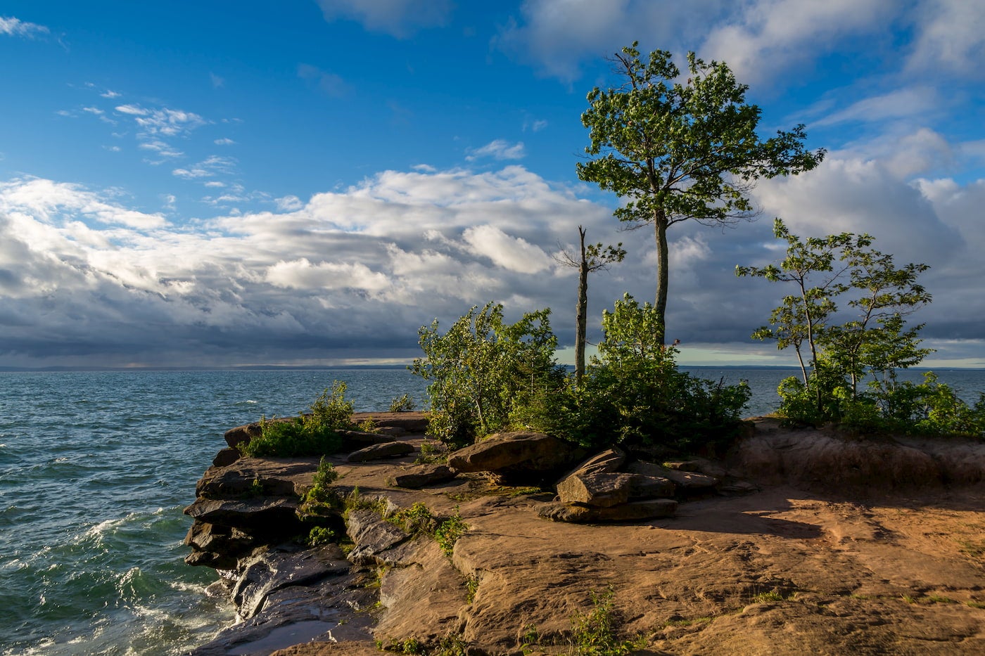 Waves crashing against rocky coast with windblown trees.