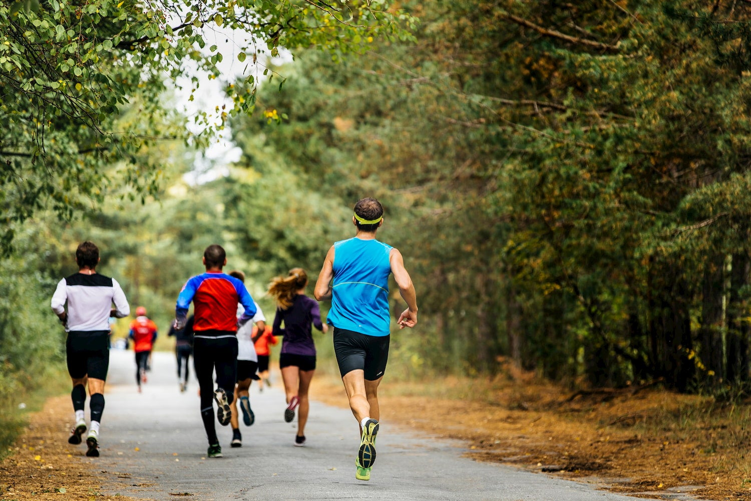 group of runners in forest