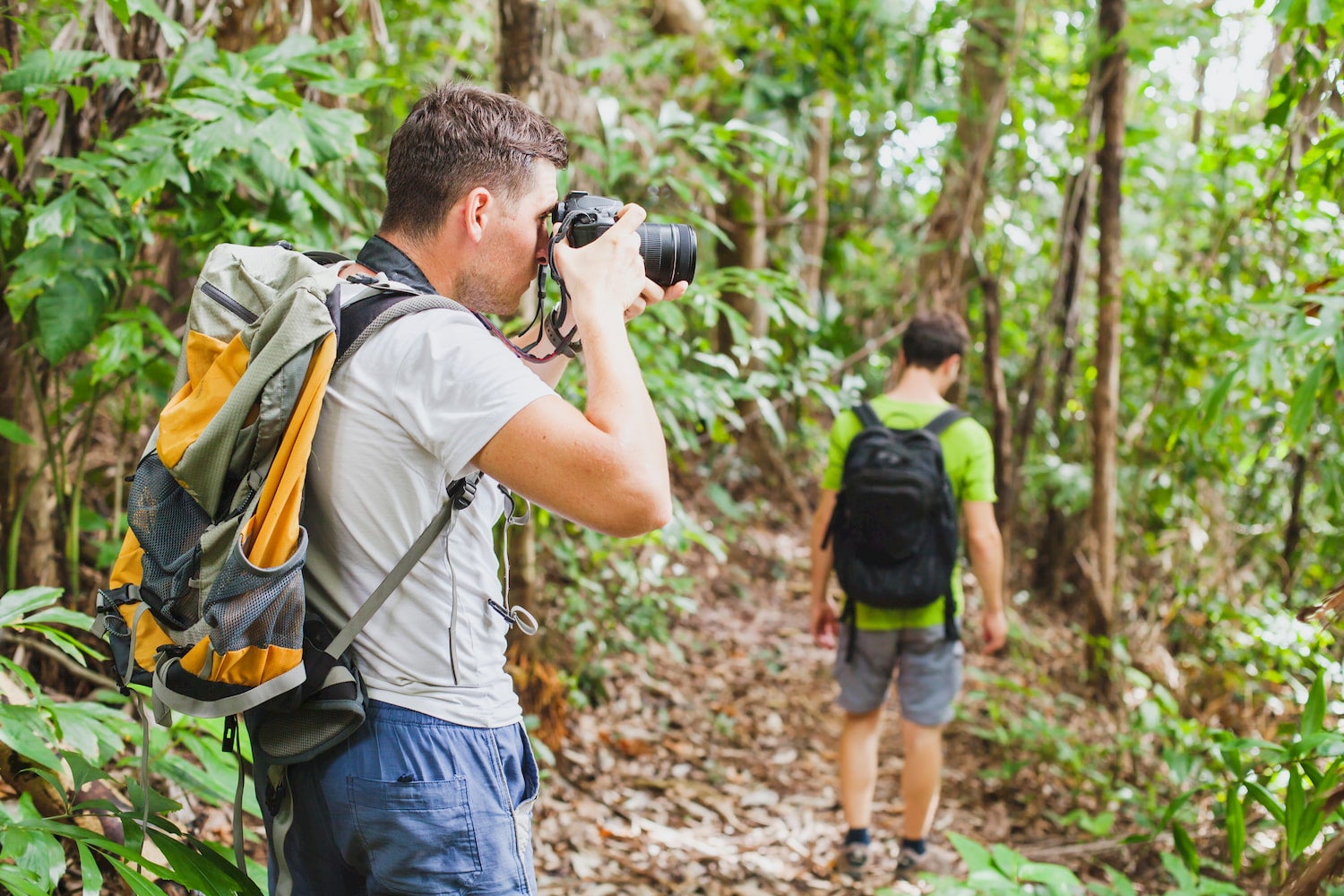 two men in forest hiking and taking pictures