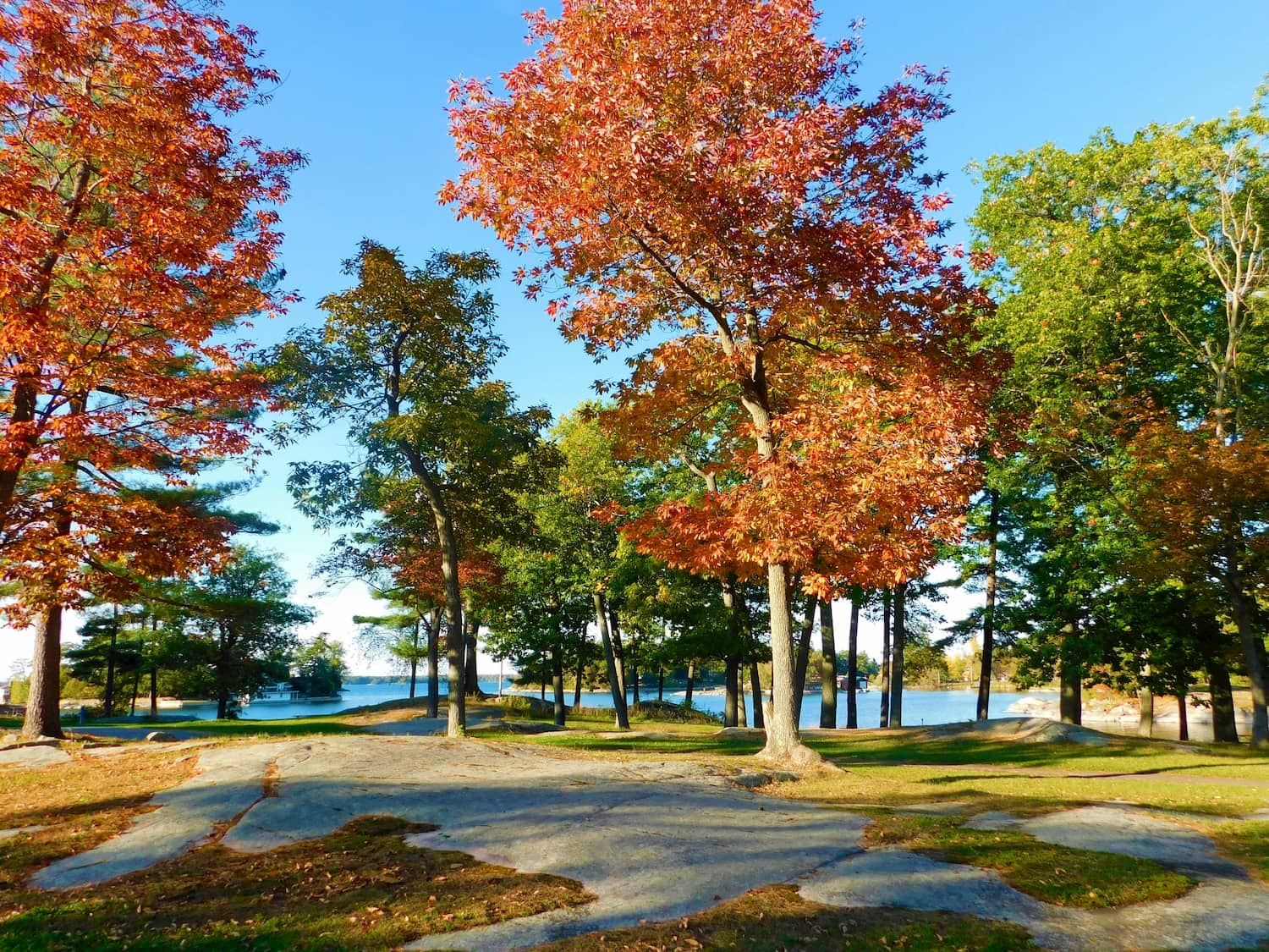 orange trees at Kring Point State Park