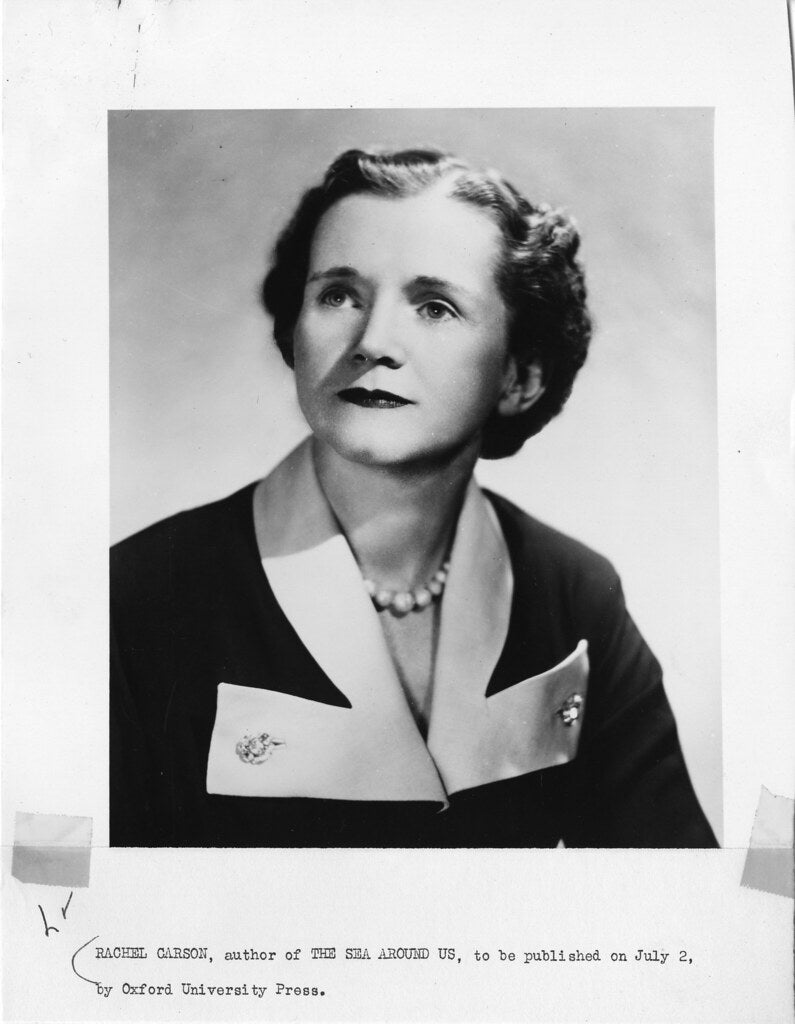 Rachel Carson