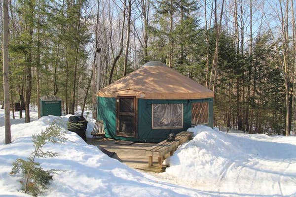 dog in front of yurt