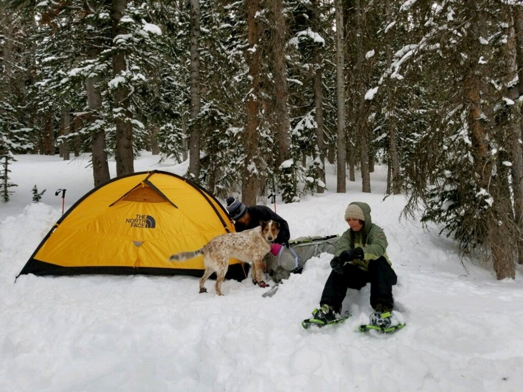 State Forest State Park Might Be Colorado's Best Winter Escape