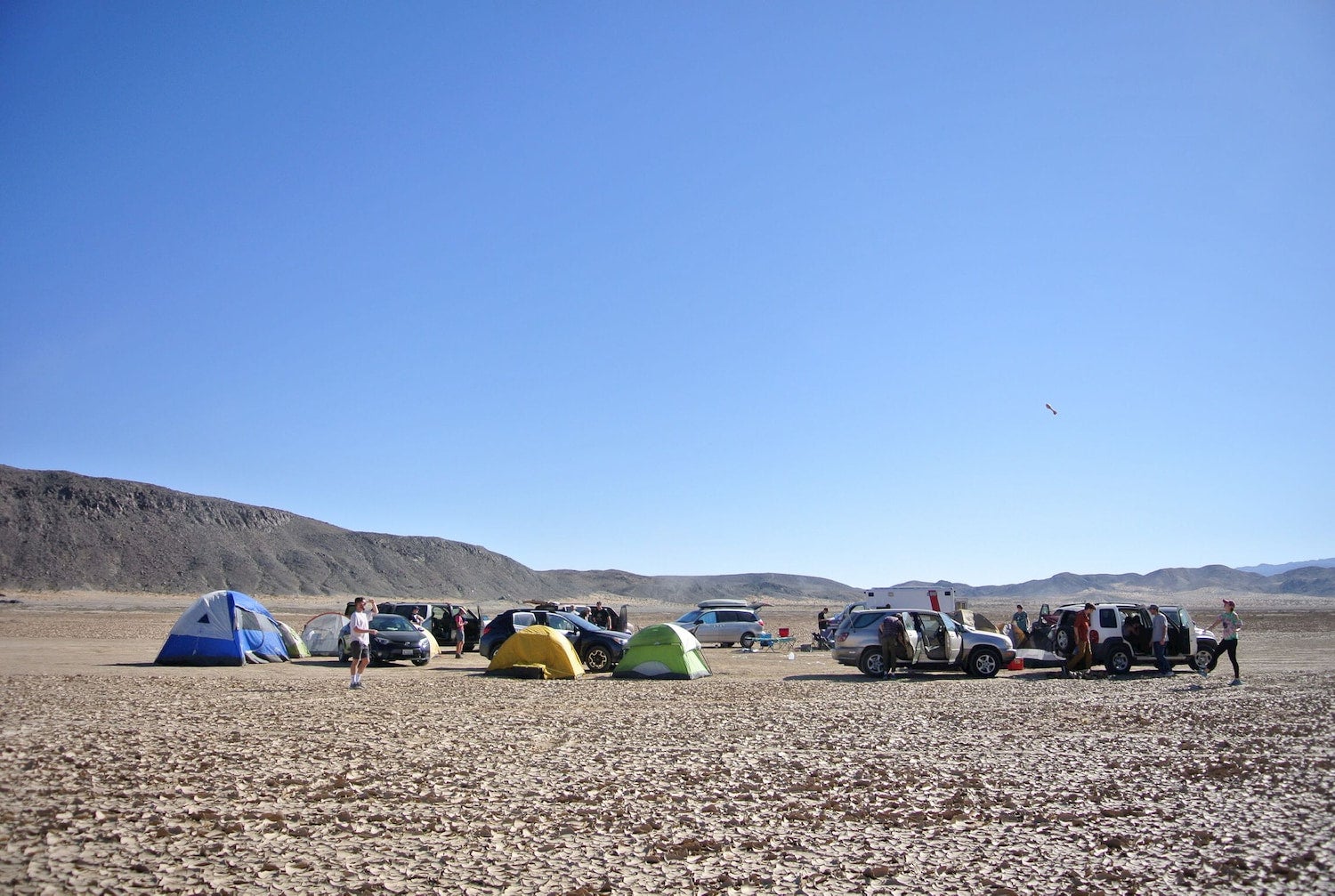 group of cars in joshua tree blm camping