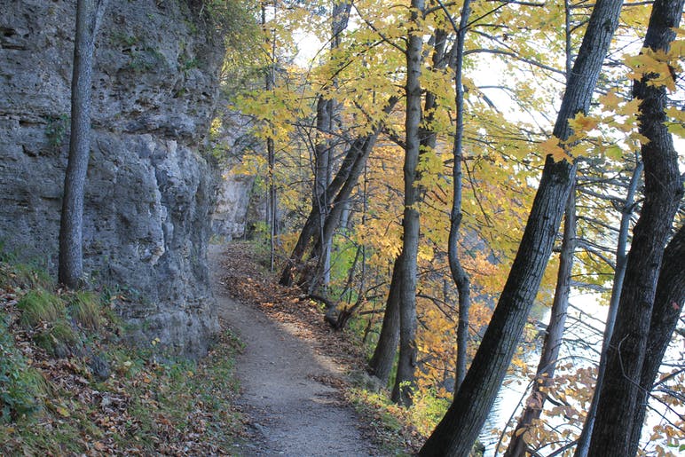 trail in backbone state park