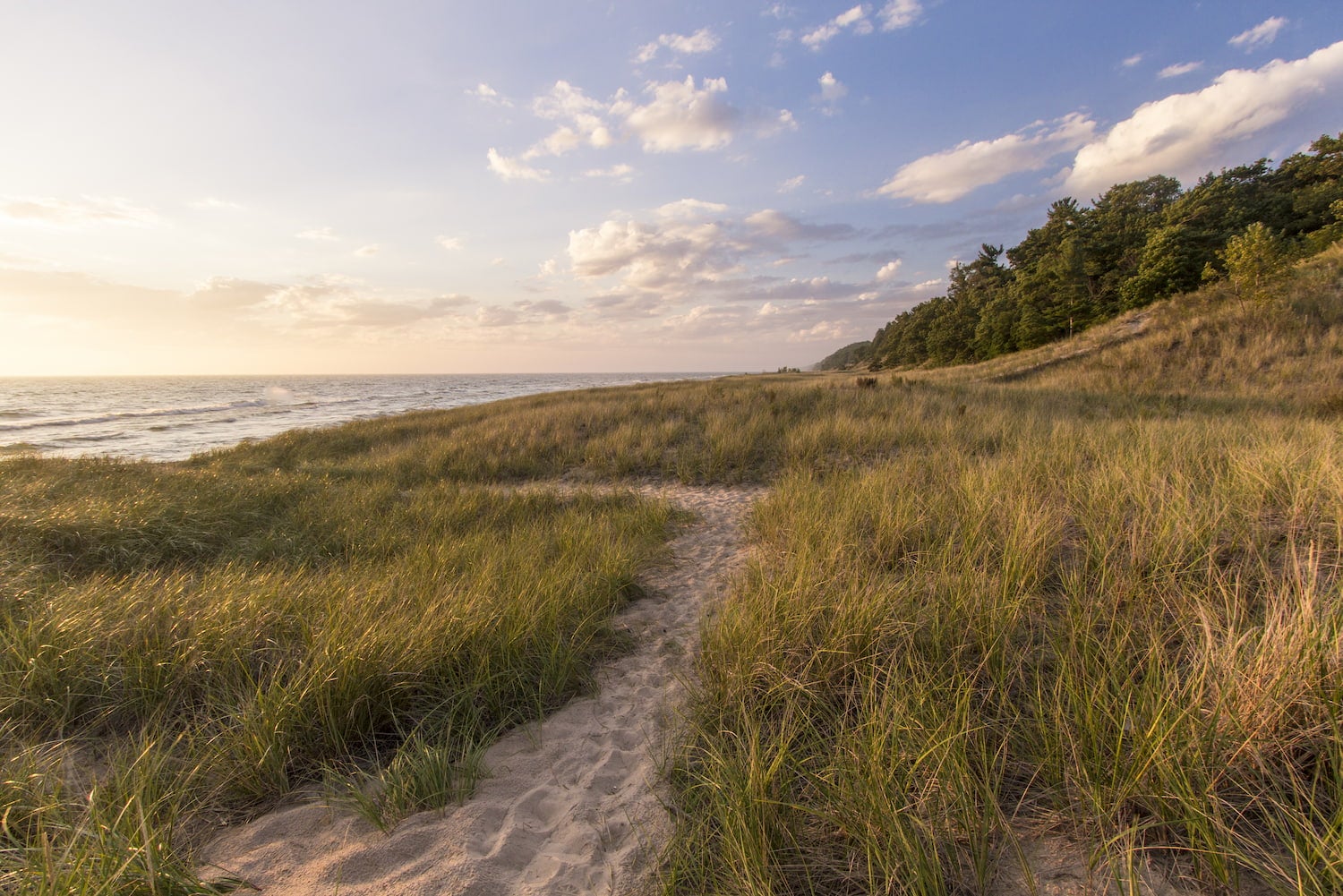 long grass and beach