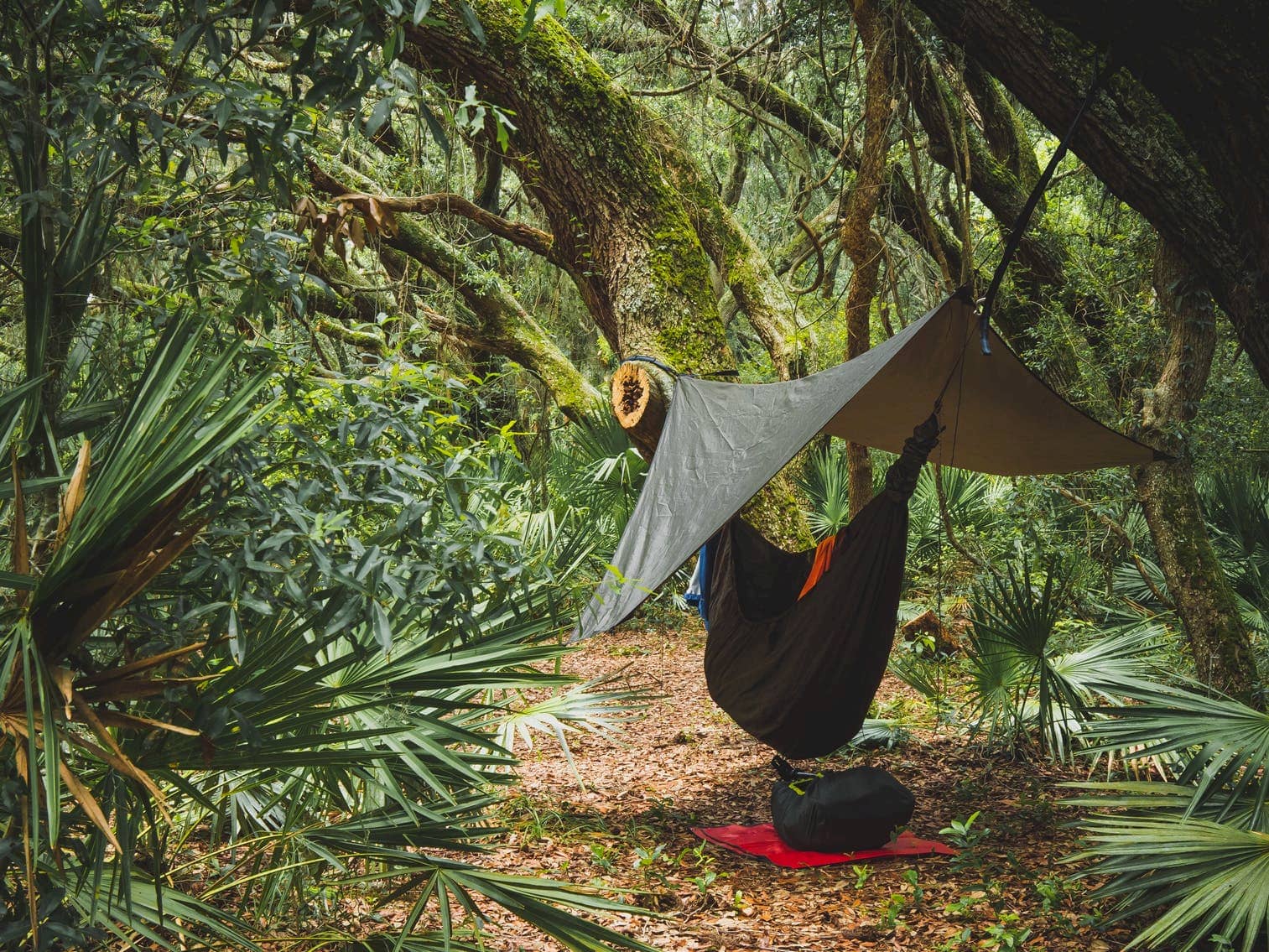 Camping style hammock hung in the jungle under a tarp with gear lying next to it.