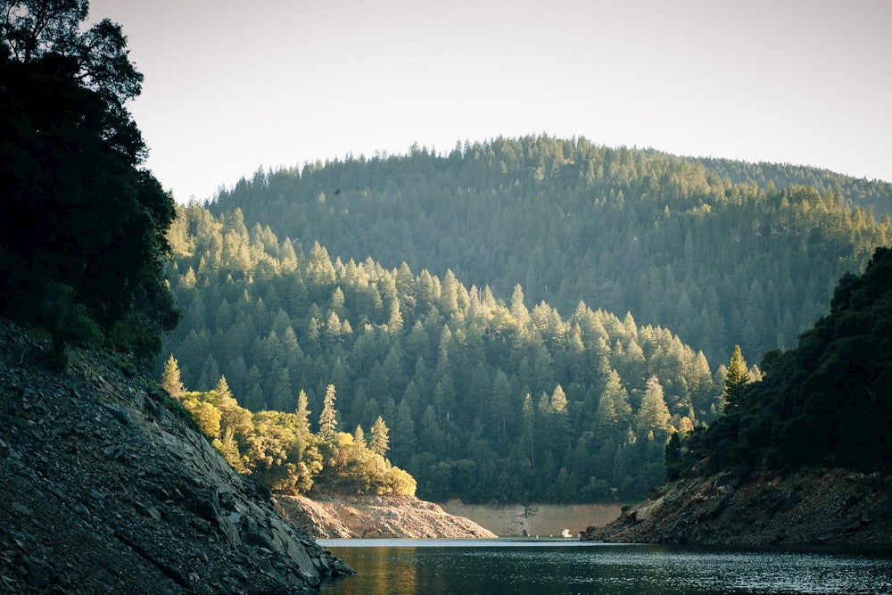 Landscape of sun shining through forest surrounding a lake.