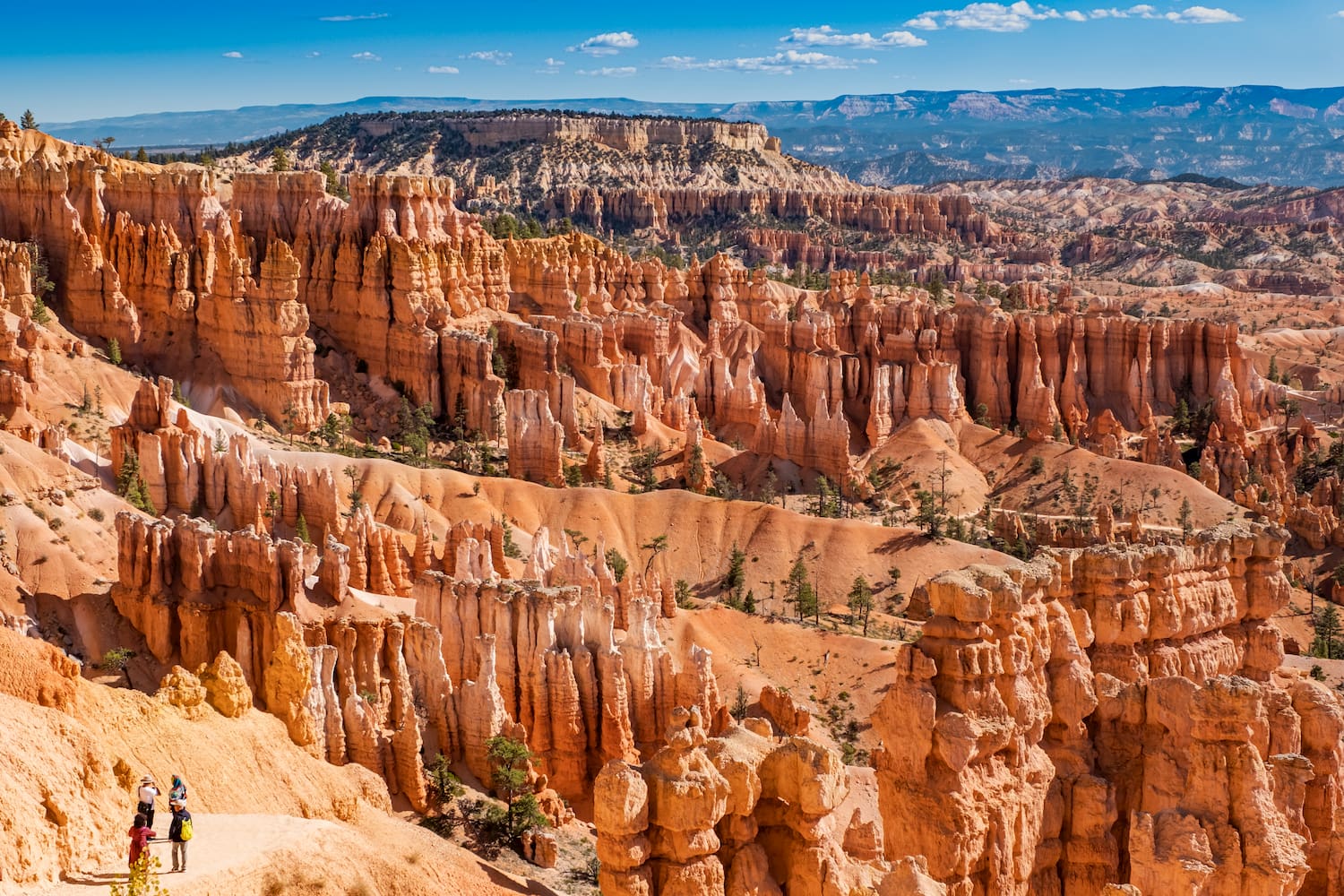 wide shot of bryce canyon