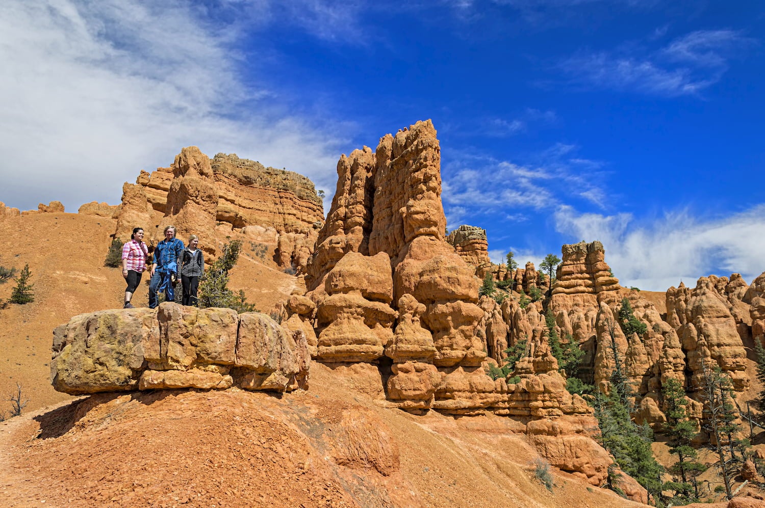 people standing on a rock at red canyon