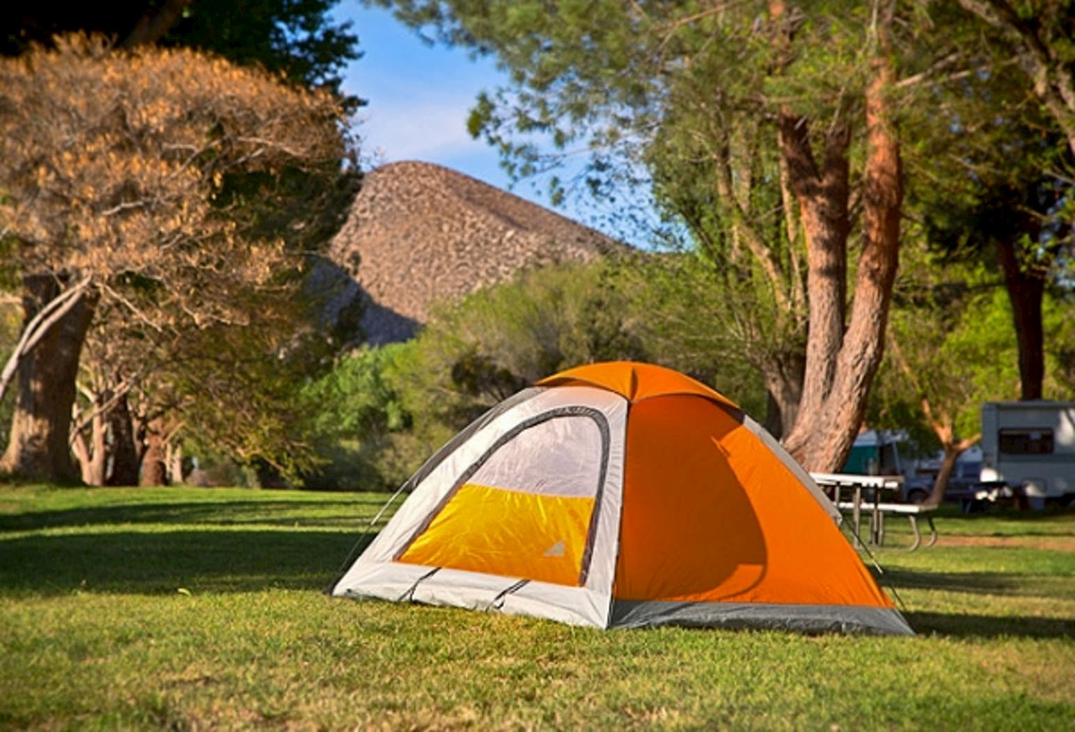Orange tent set up on green lawn below desert mountains.