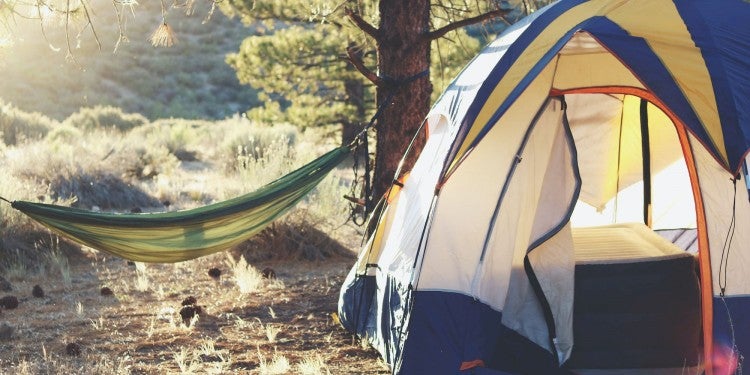 Free camping setup in a national forest.