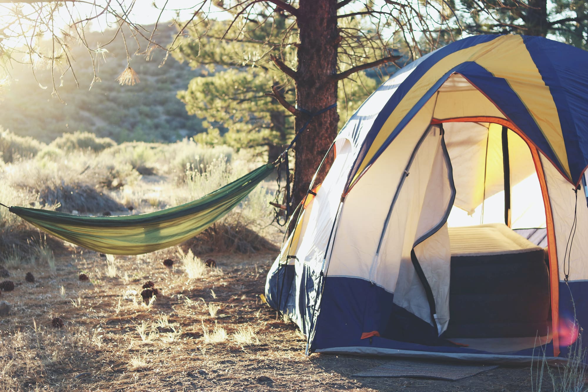 Free camping setup in a national forest.