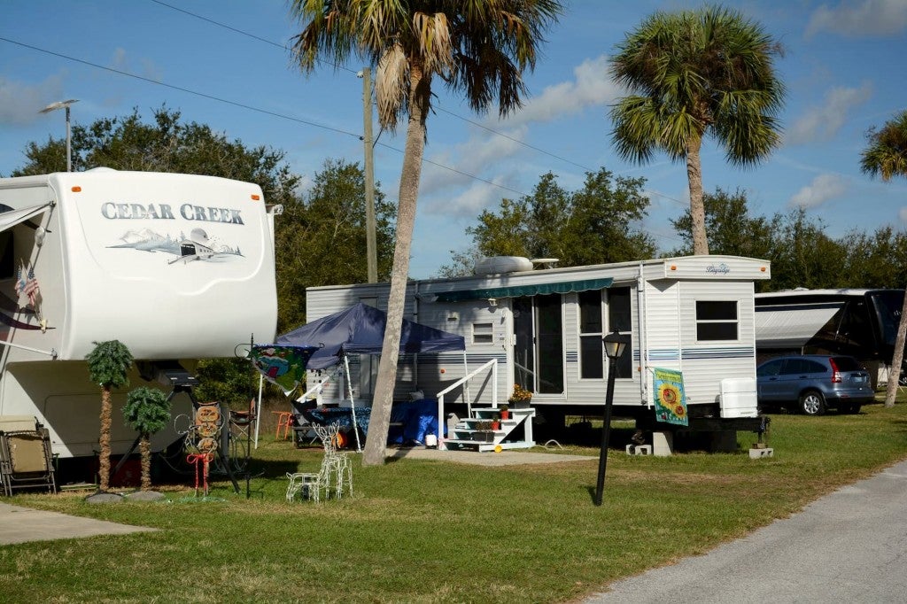 RVs and trailers parked in a row on green grass with palm trees in the background.