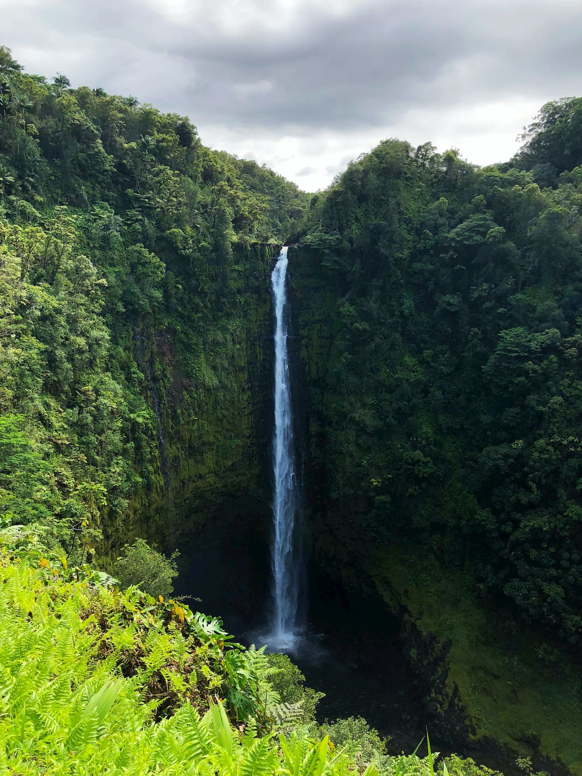 Extremely tall waterfall pouring over lush forested cliffs into a cavern below.