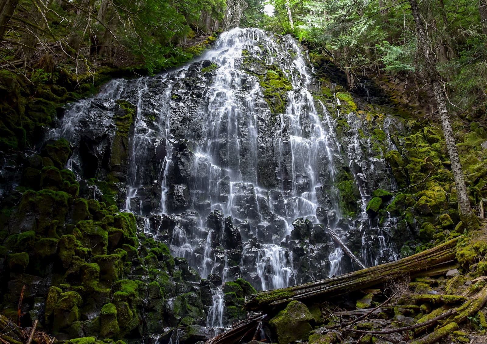 Water cascading down moss covered rocks in a forest above a bridge.