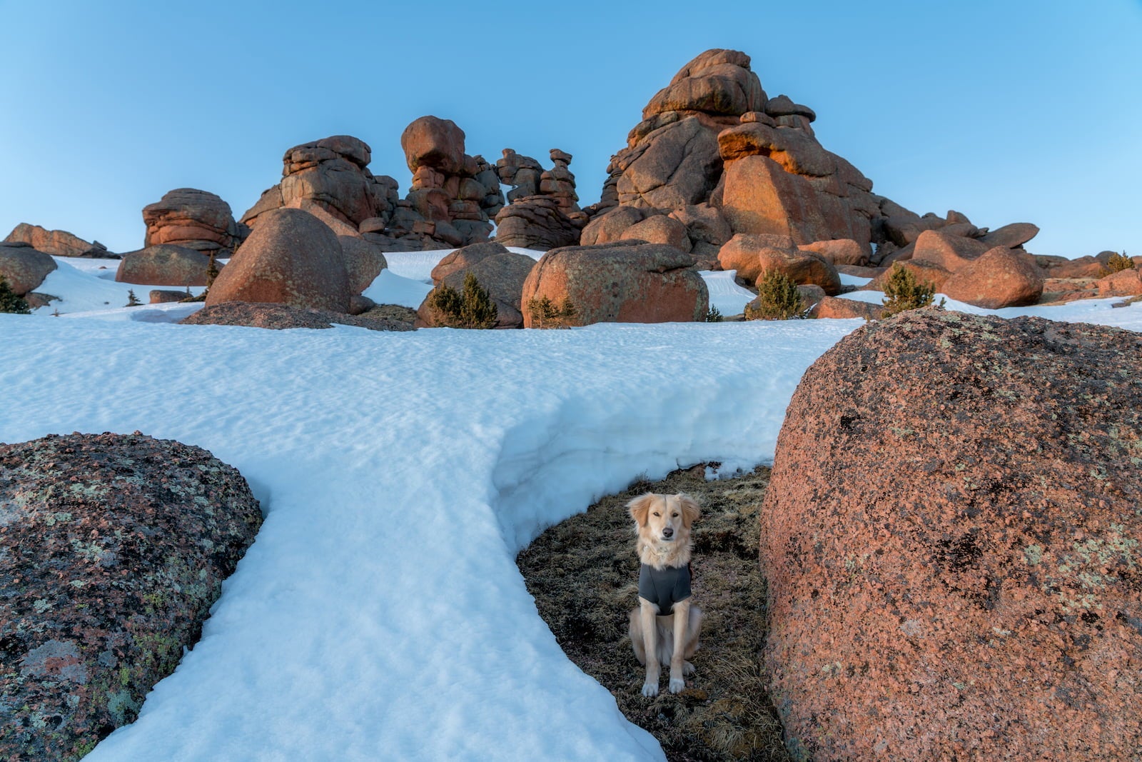 Dog in jacket sitting within snow covered red rock landscape.