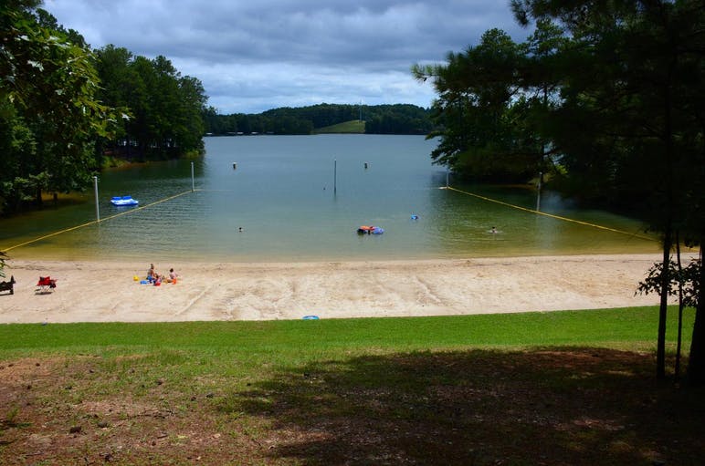 beach and tress on lake