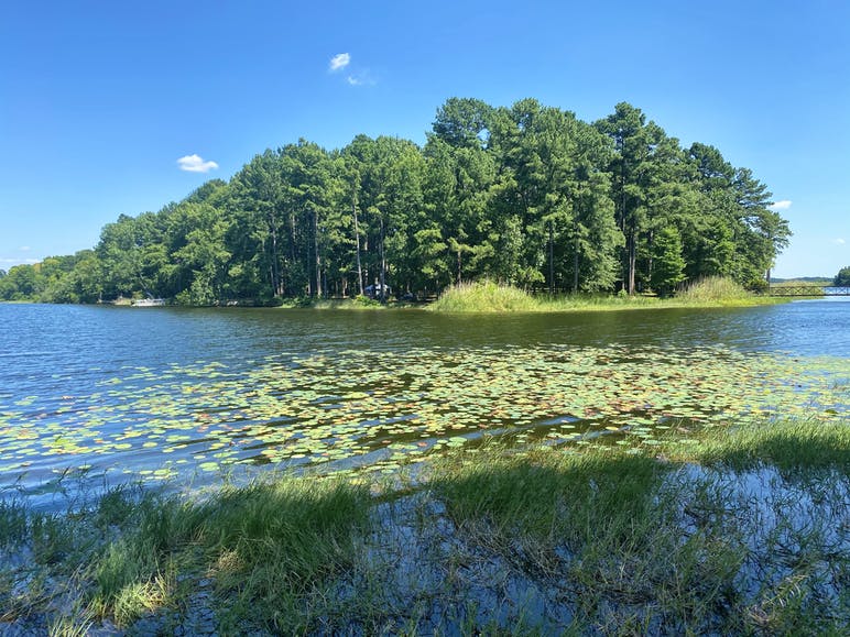 water and trees at martin creek lake state park