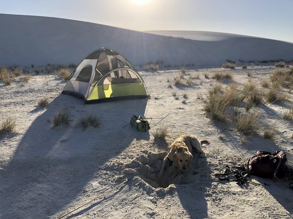 Green tent in front of white sand dune with a golden retriever lying next to it.