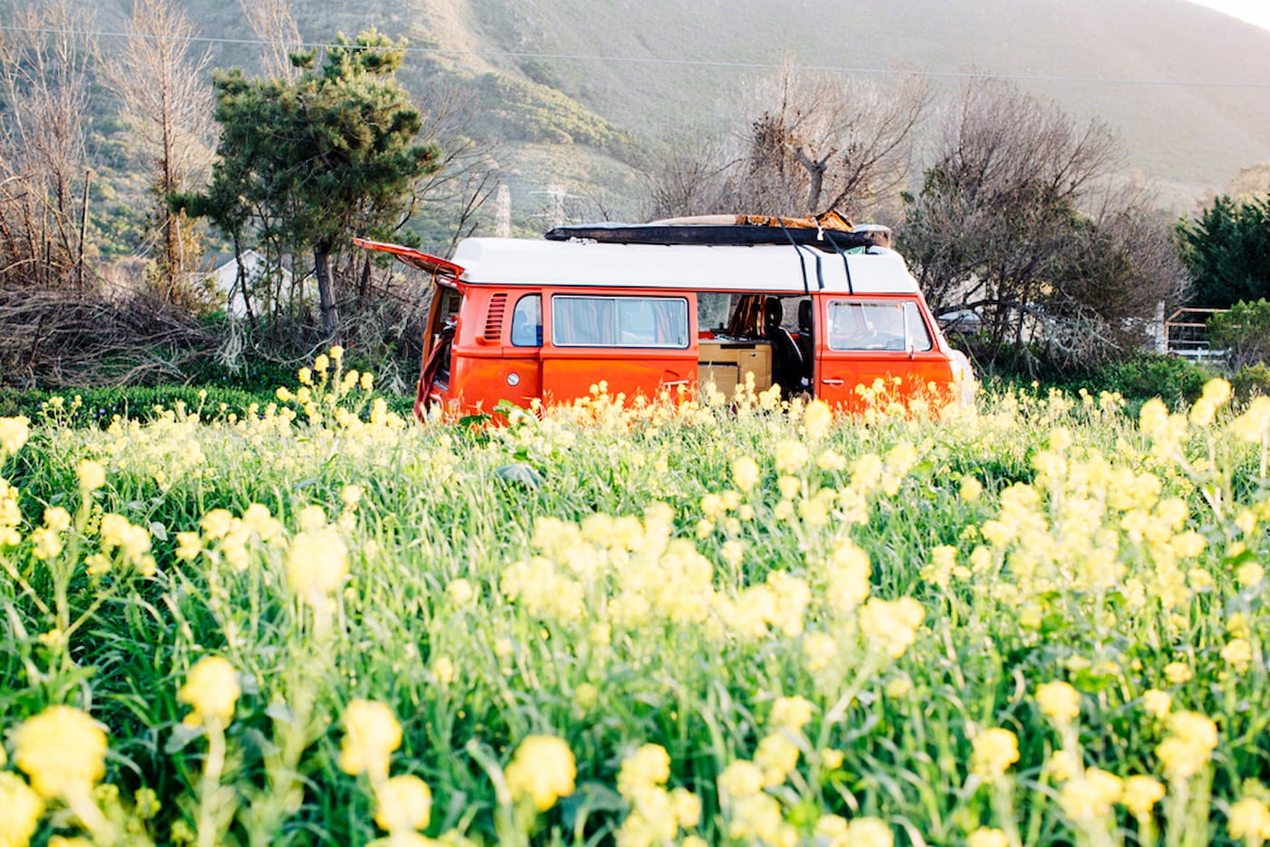 Orange camper van in a field of wildflowers.