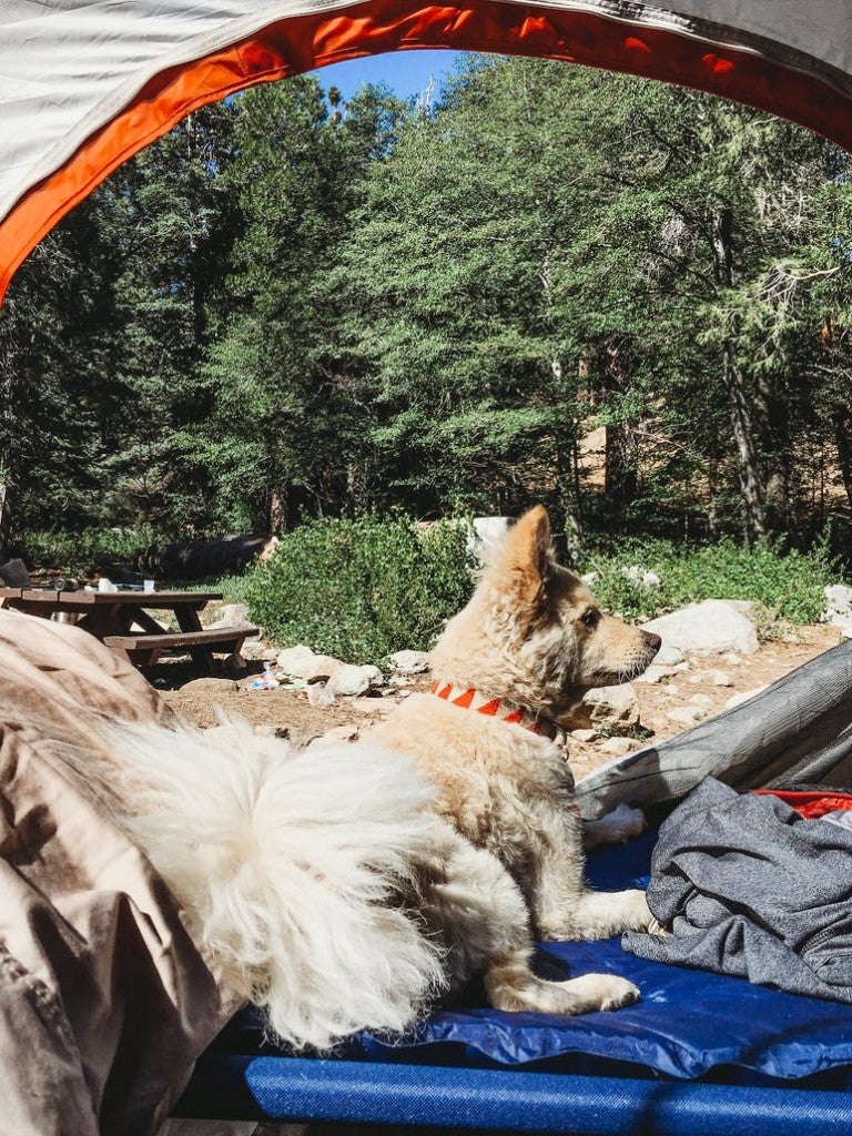 The Best Campgrounds Near Los Angeles According to Campers