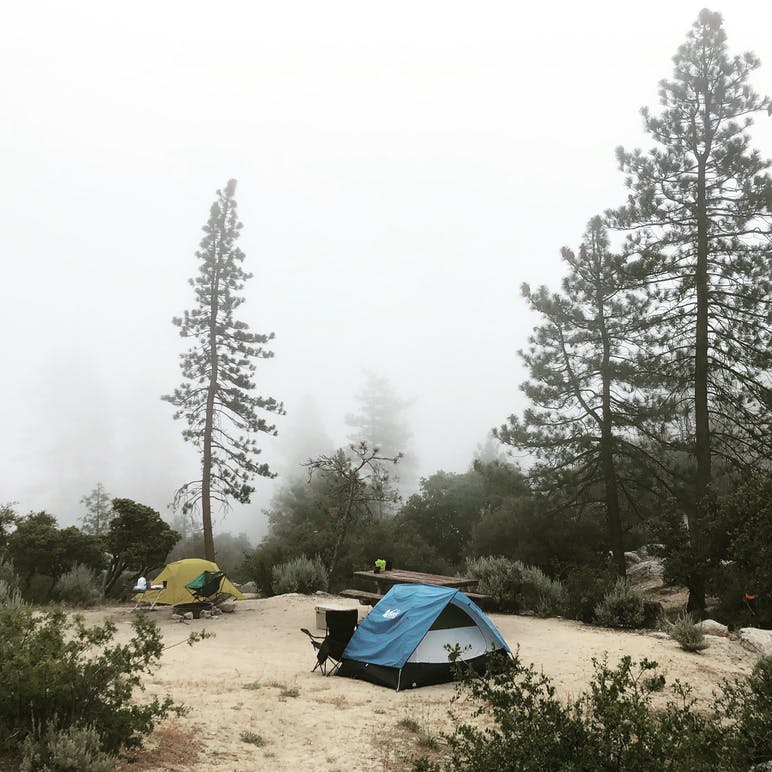 tents and campsite with foggy background