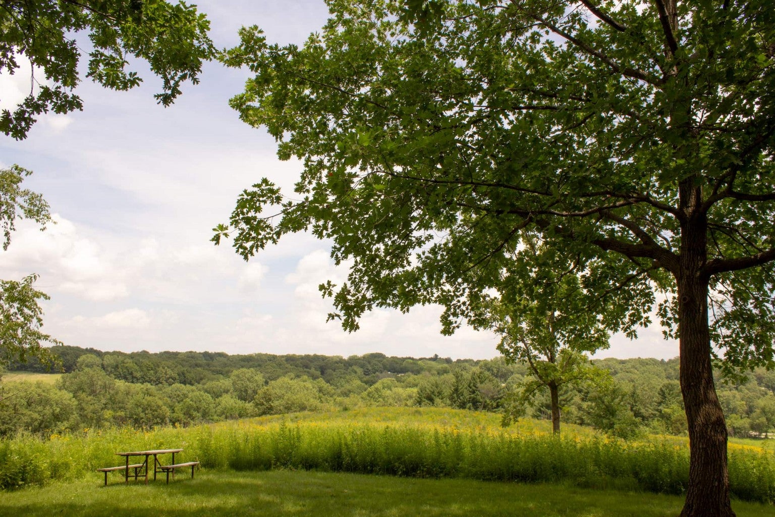 4 of Our Favorite Campgrounds Within 60 Miles of Cedar Rapids, Iowa