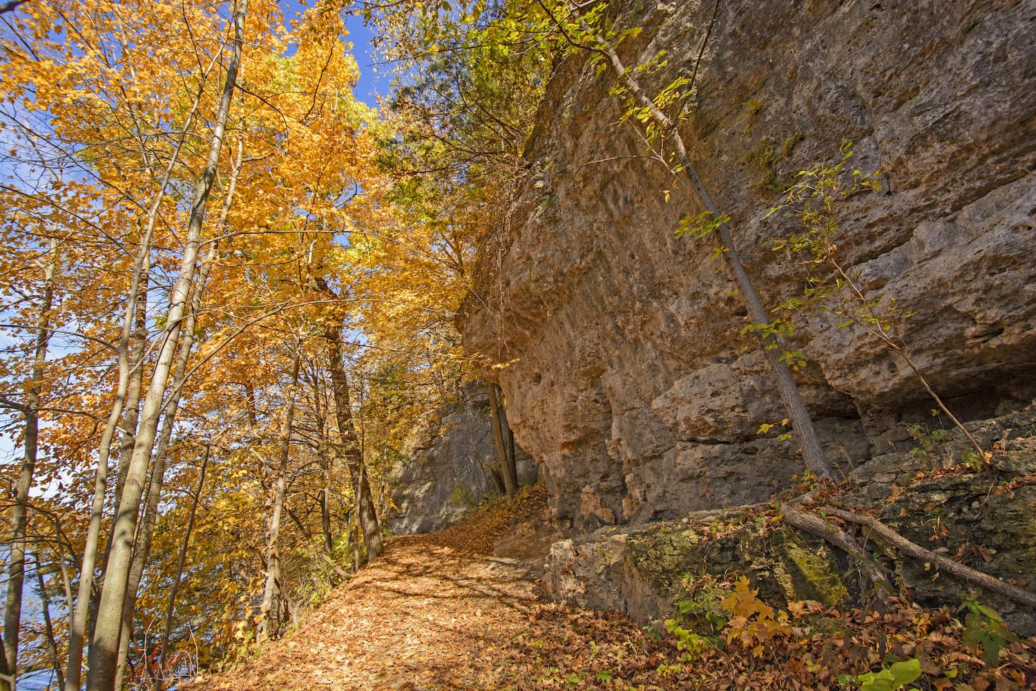 rockface with fall trees beside it
