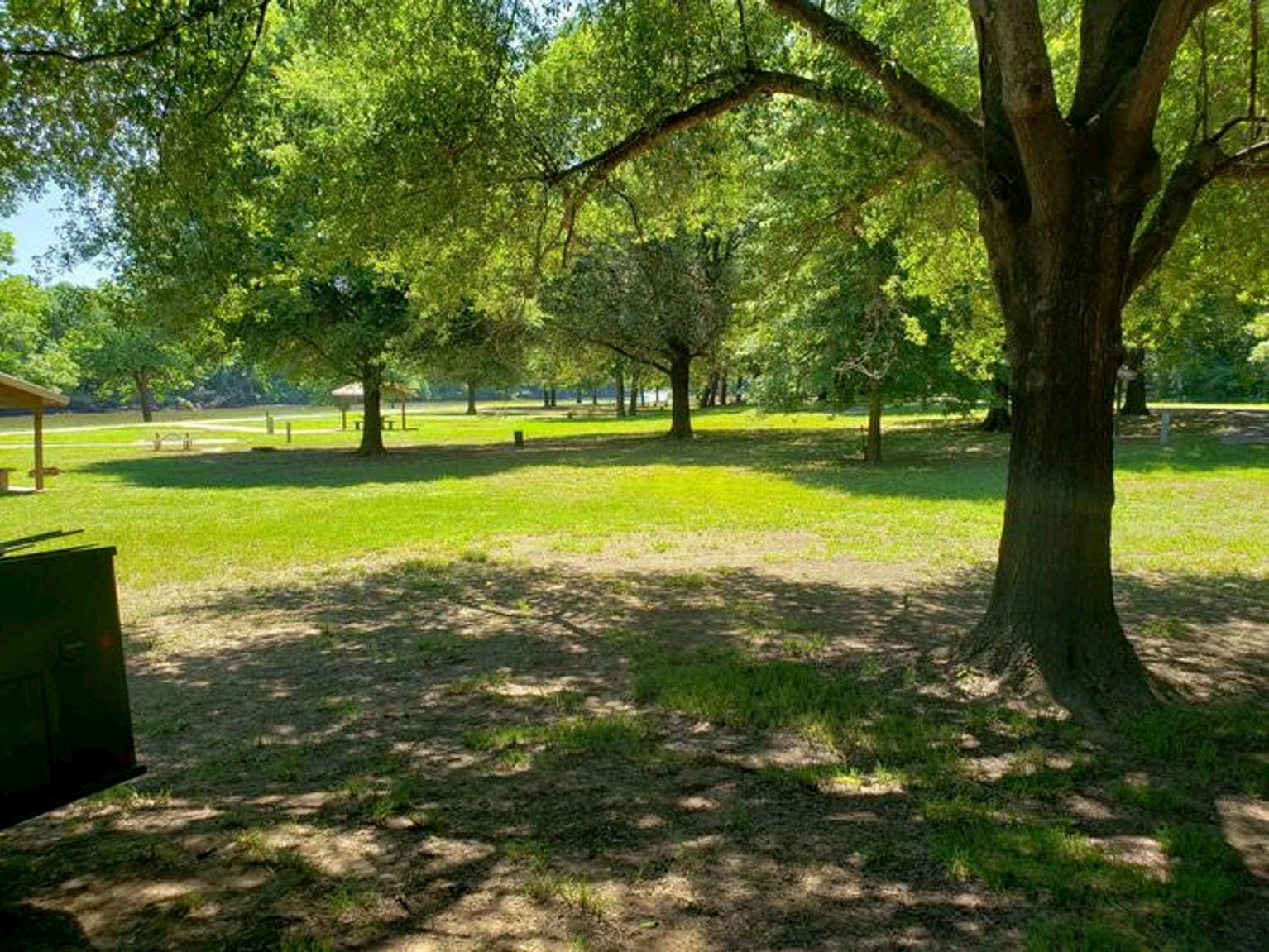 Bright green lawn with trees planted around the perimeter at Clear Creek Campground.