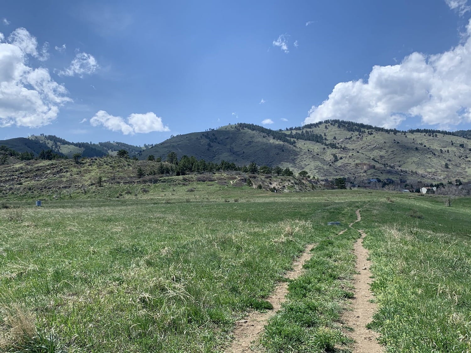 Dirt road in meadow with mountains in background