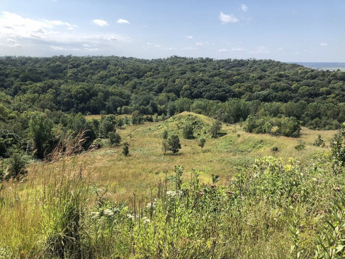 The 7 Best Spots for Camping near Omaha, Nebraska