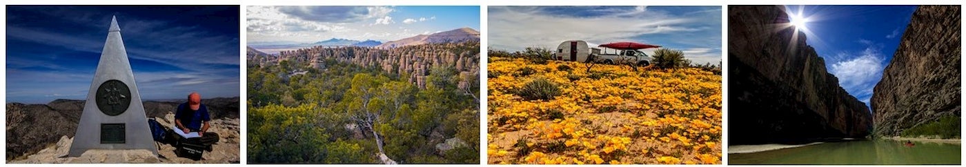 Photo collage of the Chihuahuan Desert including wildflowers and rock formations.