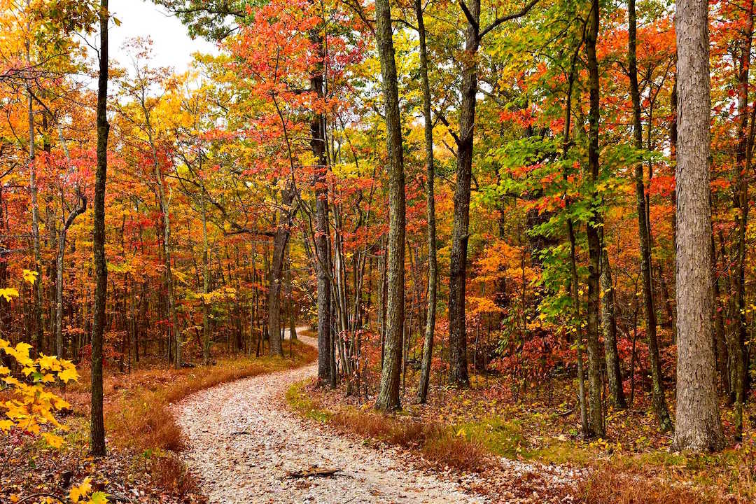 Kanawha State Forest, West Virginia