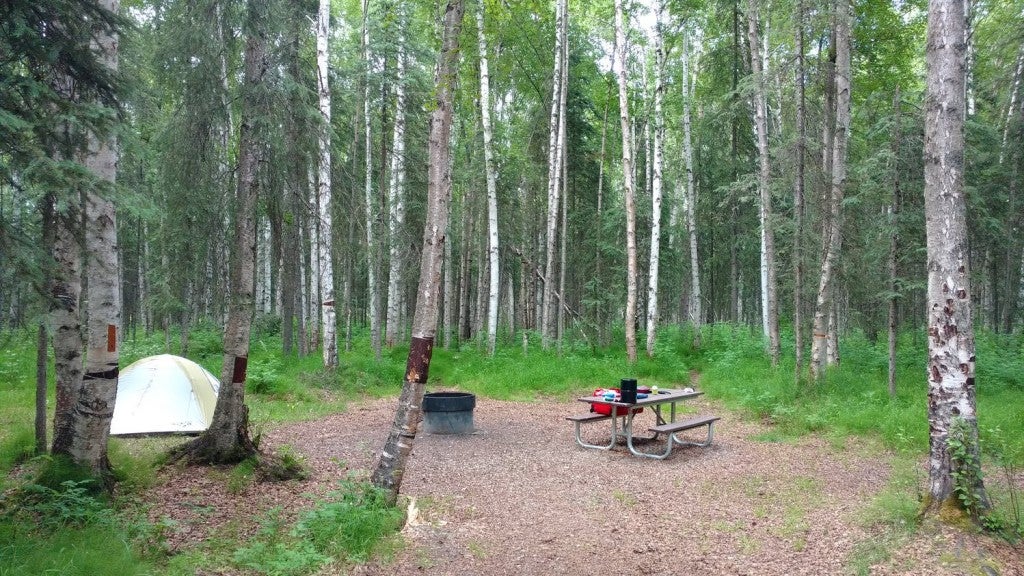 7 Spectacular Campgrounds in Fairbanks, Alaska