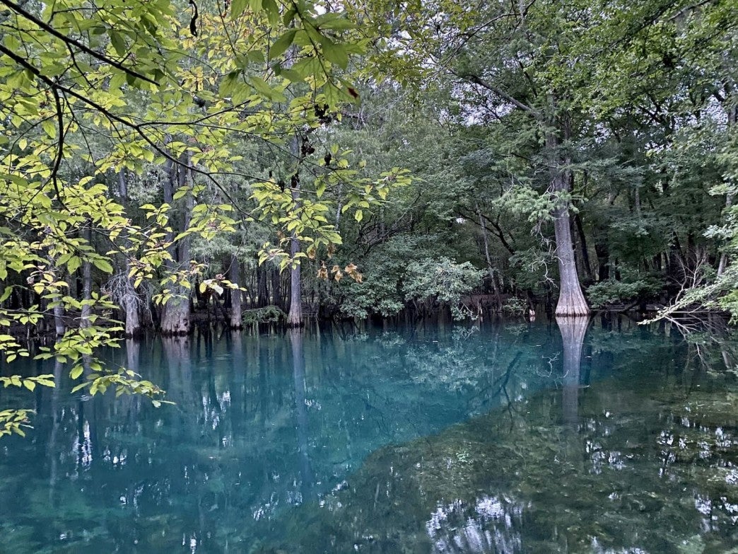 7 Campgrounds for the Best Camping near Gainesville, Florida