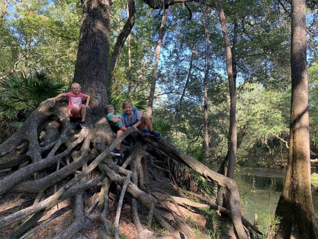 7 Campgrounds for the Best Camping near Gainesville, Florida