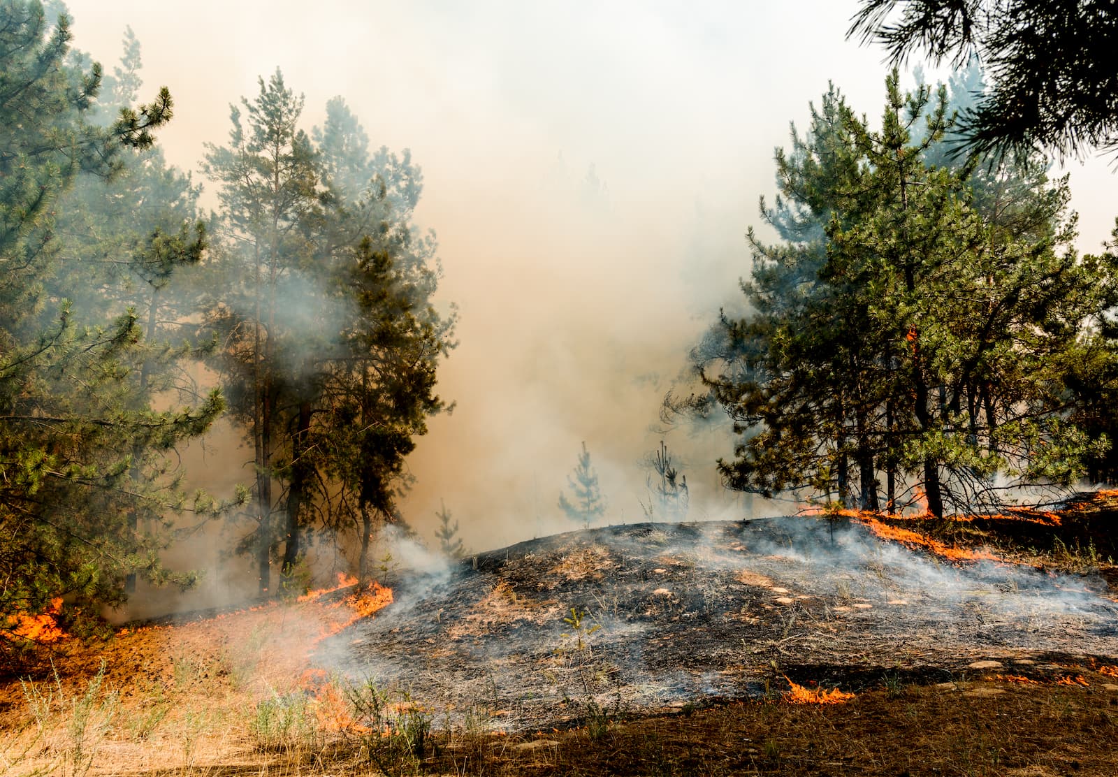 Wildfires in California, Oregon, Washington and the west close public lands.