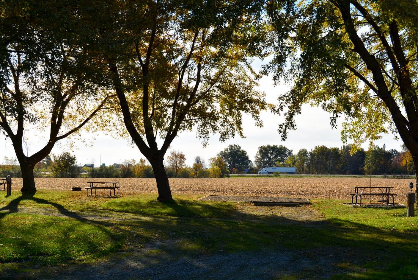 Campsite beside a corn field in the midwest shaded by large trees.